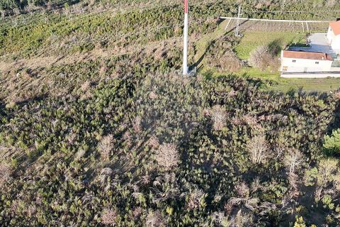 Helårsgrund i Chaves, Vila Real, Chaves - € 35.900 | Ref: 126381019-12 - foto 7