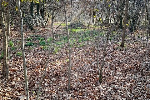 Helårsgrund i Amares, Braga, Amares - € 15.000 | Ref: 126971021-47 - foto 2