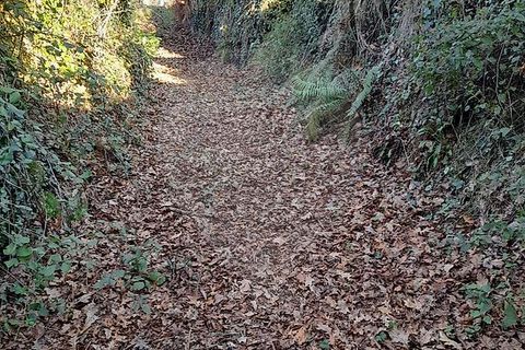 Helårsgrund i Amares, Braga, Amares - € 15.000 | Ref: 126971021-47 - foto 5