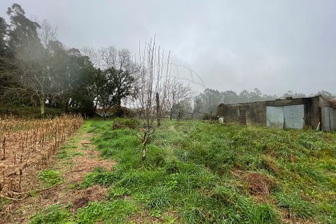 Villa i Viana do Castelo, Viana do Castelo, Viana do Castelo - € 375.000 | Ref: 123331167-597 - foto 25