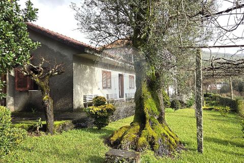 Villa i Ponte de Lima, Viana do Castelo, Ponte de Lima - € 265.000 | Ref: 123731008-449 - foto 5