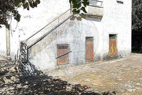 Villa i Ponte de Lima, Viana do Castelo, Ponte de Lima - € 265.000 | Ref: 123731008-449 - foto 14