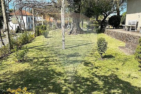 Villa i Ponte de Lima, Viana do Castelo, Ponte de Lima - € 265.000 | Ref: 123731008-449 - foto 25