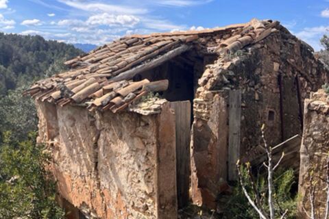 Finca i Benifallet, Tarragona, Benifallet - € 22.000 | Ref: Lm - foto 12