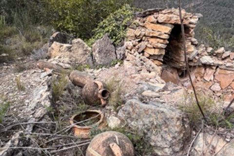 Finca i Benifallet, Tarragona, Benifallet - € 22.000 | Ref: Lm - foto 13
