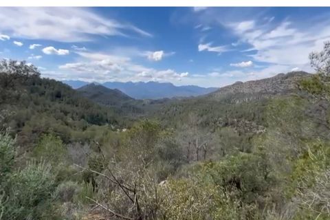 Finca i Benifallet, Tarragona, Benifallet - € 22.000 | Ref: Lm - foto 15