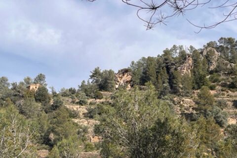 Finca i Benifallet, Tarragona, Benifallet - € 22.000 | Ref: Lm - foto 18