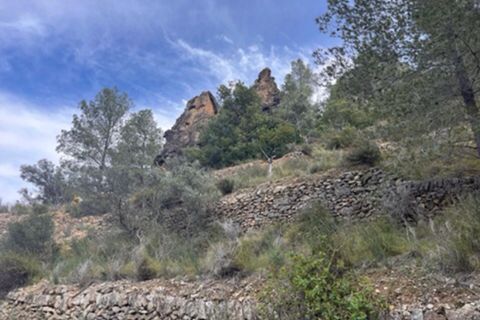 Finca i Benifallet, Tarragona, Benifallet - € 22.000 | Ref: Lm - foto 23