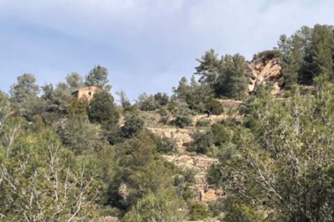 Finca i Benifallet, Tarragona, Benifallet - € 22.000 | Ref: Lm - foto 20