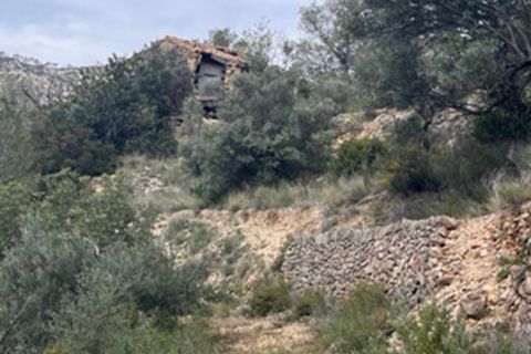 Finca i Benifallet, Tarragona, Benifallet - € 22.000 | Ref: Lm - foto 25