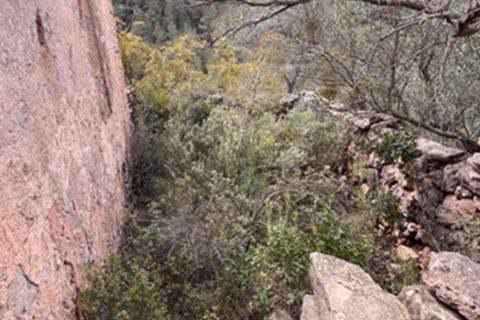 Finca i Benifallet, Tarragona, Benifallet - € 22.000 | Ref: Lm - foto 16