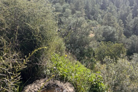 Finca i Benifallet, Tarragona, Benifallet - € 22.000 | Ref: Lm - foto 22