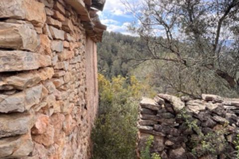 Finca i Benifallet, Tarragona, Benifallet - € 22.000 | Ref: Lm - foto 14