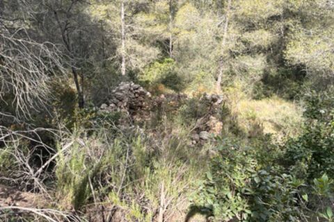 Finca i Benifallet, Tarragona, Benifallet - € 22.000 | Ref: Lm - foto 19