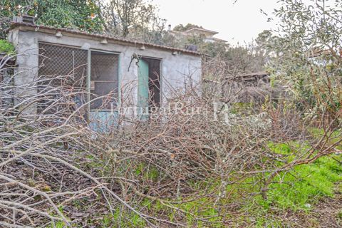 Villa em Proenca-a-Nova, Castelo Branco, Proenca-a-Nova - € 125.000 | Ref: SA1030 - foto 17