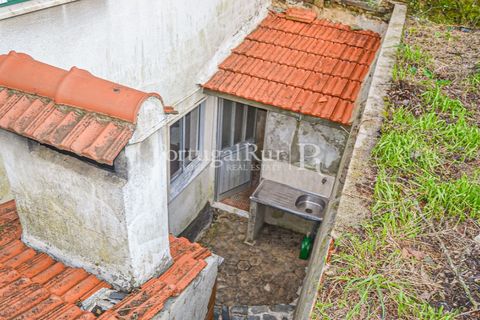 Villa em Proenca-a-Nova, Castelo Branco, Proenca-a-Nova - € 125.000 | Ref: SA1030 - foto 18