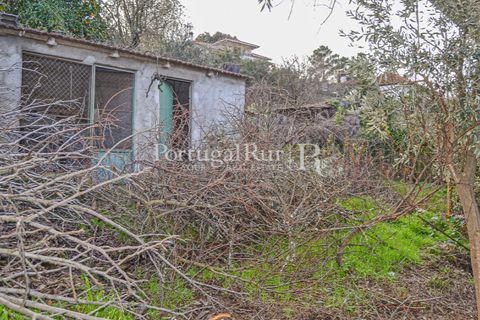 Villa em Proenca-a-Nova, Castelo Branco, Proenca-a-Nova - € 125.000 | Ref: SA1030 - foto 20