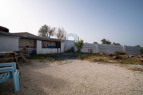 Villa i Bombarral, Leiria, Bombarral - € 448.000 | Ref: 2026/0015 - foto 48
