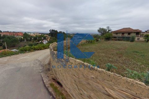 Helårsgrund i Agueda, Aveiro, Agueda - € 220.000 | Ref: 20240100102 - foto 4