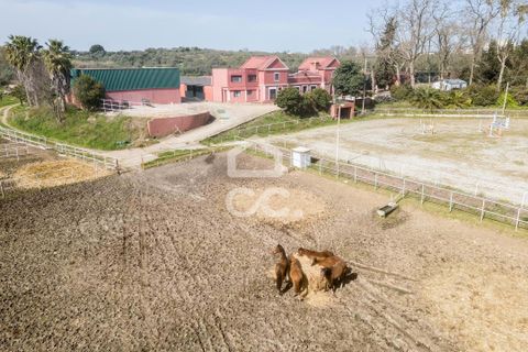 Farm hus i Elvas, Portalegre, Elvas - € 8.500.000 | Ref: 318/Q/03782 - foto 10