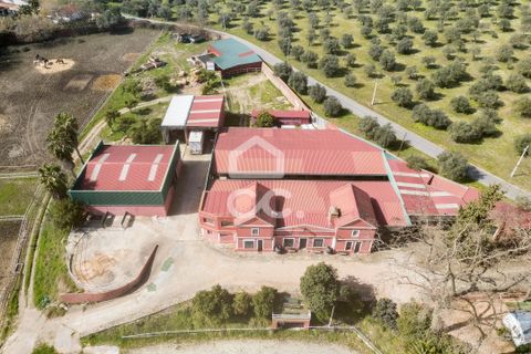 Farm hus i Elvas, Portalegre, Elvas - € 8.500.000 | Ref: 318/Q/03782 - foto 11