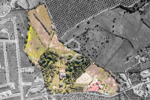 Farm hus i Elvas, Portalegre, Elvas - € 8.500.000 | Ref: 318/Q/03782 - foto 12