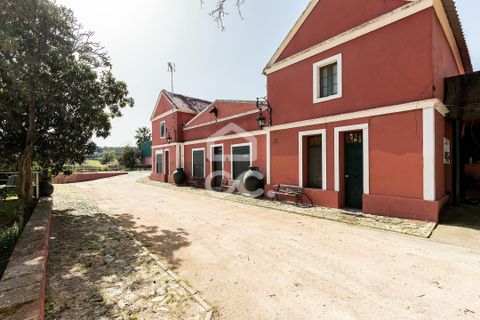 Farm hus i Elvas, Portalegre, Elvas - € 8.500.000 | Ref: 318/Q/03782 - foto 41