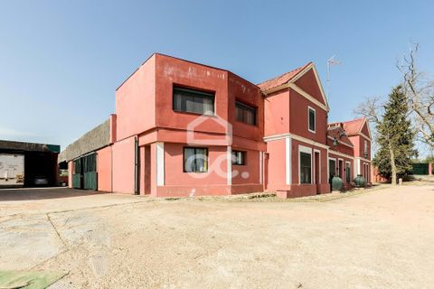 Farm hus i Elvas, Portalegre, Elvas - € 8.500.000 | Ref: 318/Q/03782 - foto 42