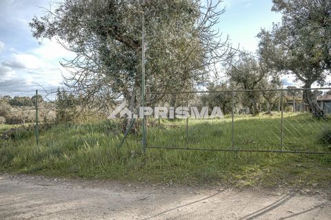 Helårsgrund i Castelo Branco, Castelo Branco, Castelo Branco - € 21.500 | Ref: PP4723 - foto 2