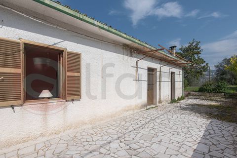 Villa a Arpino, Frosinone, Arpino - € 105.000 | Ref: AC99-149-1735 - foto 18