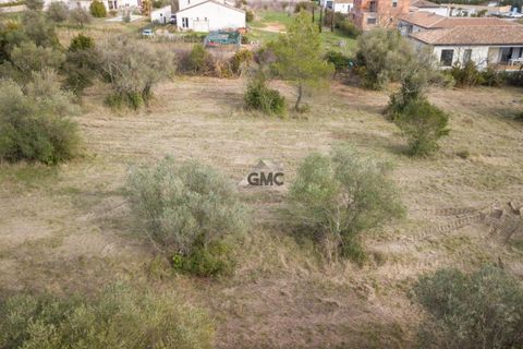 Terra a Claret, Herault, Claret - € 175.000 | Ref: 34735706 - foto 3
