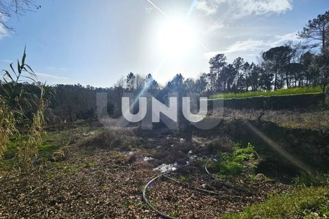 Helårsgrund i Viseu, Viseu, Viseu - € 12.000 | Ref: UNU.I.1855.15002 - foto 3