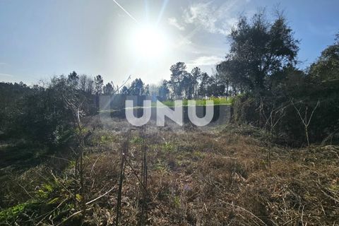 Helårsgrund i Viseu, Viseu, Viseu - € 12.000 | Ref: UNU.I.1855.15002 - foto 4