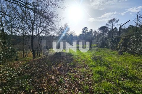 Helårsgrund i Viseu, Viseu, Viseu - € 12.000 | Ref: UNU.I.1855.15002 - foto 5