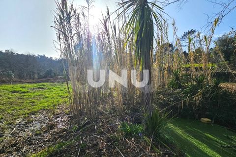 Helårsgrund i Viseu, Viseu, Viseu - € 12.000 | Ref: UNU.I.1855.15002 - foto 6