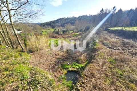 Helårsgrund i Viseu, Viseu, Viseu - € 12.000 | Ref: UNU.I.1855.15002 - foto 7