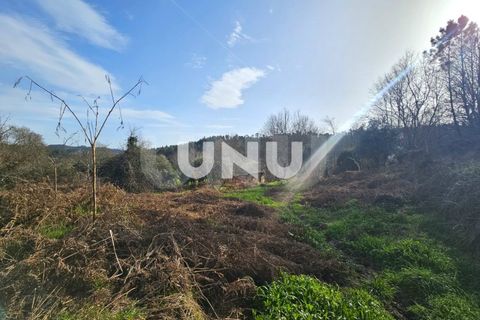 Helårsgrund i Viseu, Viseu, Viseu - € 12.000 | Ref: UNU.I.1855.15002 - foto 9