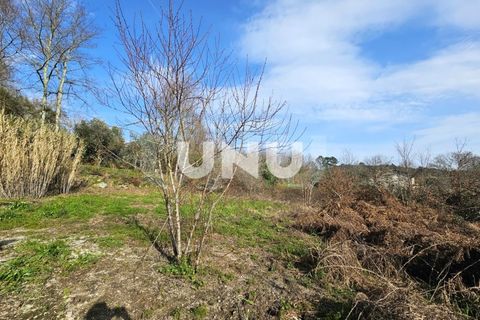 Helårsgrund i Viseu, Viseu, Viseu - € 12.000 | Ref: UNU.I.1855.15002 - foto 10