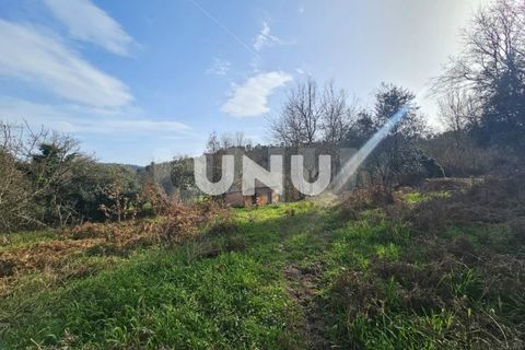 Helårsgrund i Viseu, Viseu, Viseu - € 12.000 | Ref: UNU.I.1855.15002 - foto 11