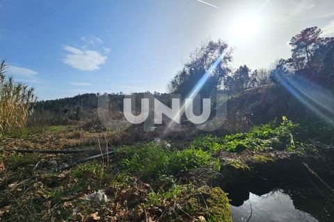 Helårsgrund i Viseu, Viseu, Viseu - € 12.000 | Ref: UNU.I.1855.15002 - foto 12