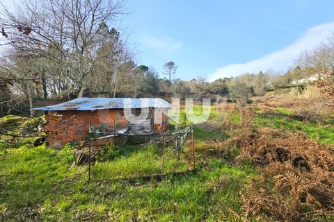 Helårsgrund i Viseu, Viseu, Viseu - € 12.000 | Ref: UNU.I.1855.15002 - foto 13