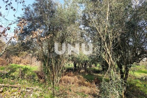 Helårsgrund i Viseu, Viseu, Viseu - € 12.000 | Ref: UNU.I.1855.15002 - foto 14