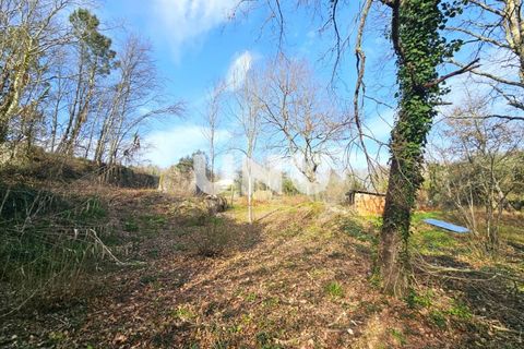 Helårsgrund i Viseu, Viseu, Viseu - € 12.000 | Ref: UNU.I.1855.15002 - foto 15