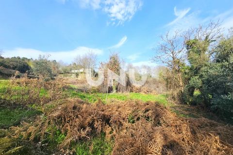 Helårsgrund i Viseu, Viseu, Viseu - € 12.000 | Ref: UNU.I.1855.15002 - foto 17