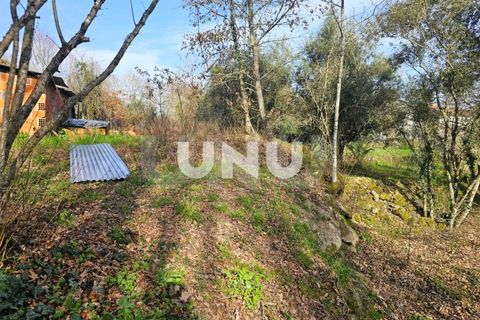 Helårsgrund i Viseu, Viseu, Viseu - € 12.000 | Ref: UNU.I.1855.15002 - foto 18