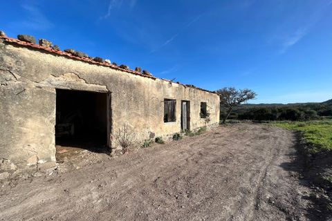 Villa i Alghero, Sassari, Alghero - € 500.000 | Ref: ALG100 - foto 3