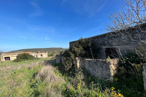 Villa i Alghero, Sassari, Alghero - € 500.000 | Ref: ALG100 - foto 4