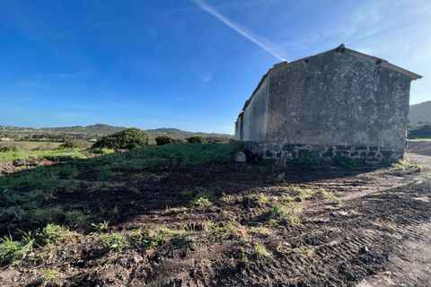 Villa i Alghero, Sassari, Alghero - € 500.000 | Ref: ALG100 - foto 5