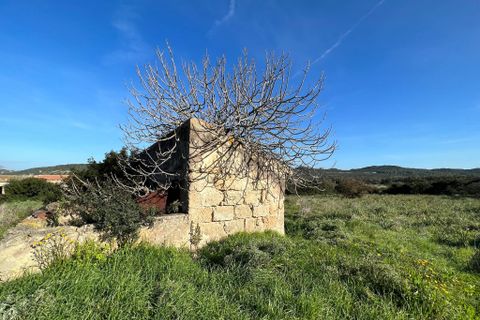 Villa i Alghero, Sassari, Alghero - € 500.000 | Ref: ALG100 - foto 7