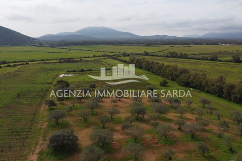 Tomt i Alghero, Sassari, Alghero - € 190 000 | Ref: SAS52 - foto 5